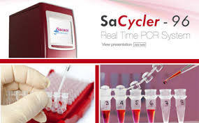 Mise en place d'une unité de biologie moléculaire au laboratoire Prima Sarl - Image 2